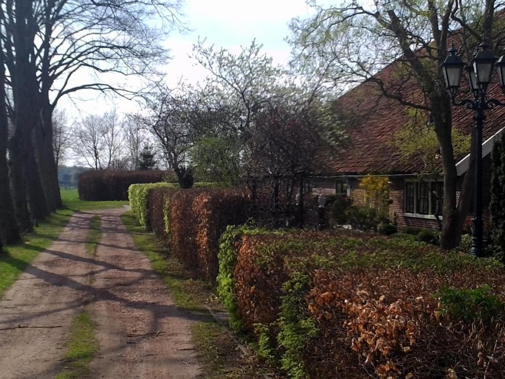 Bed & Breakfast Uiterburen Zuidbroek Exterior photo
